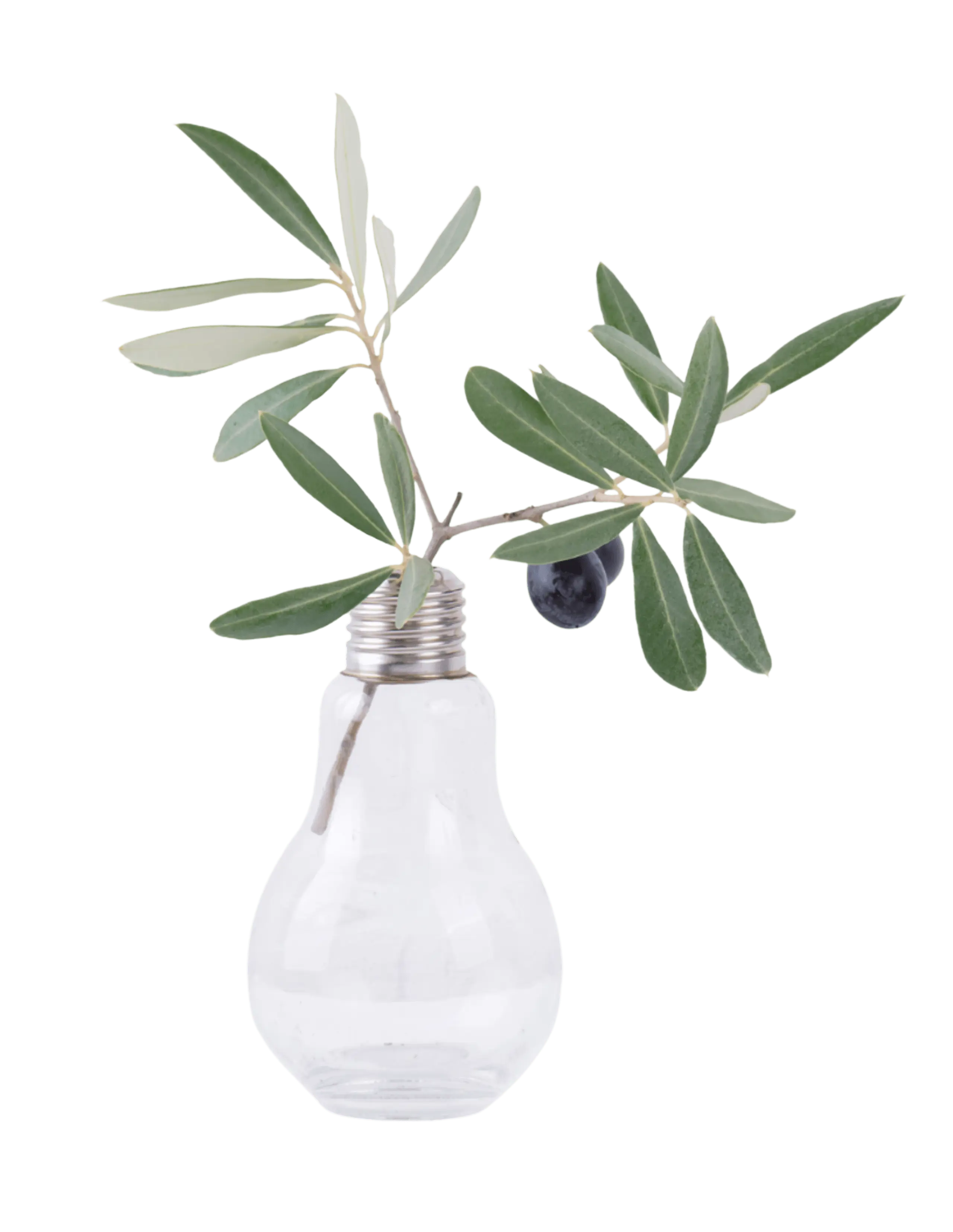  OptimizedImage,Home Icon PNG,,Optimized