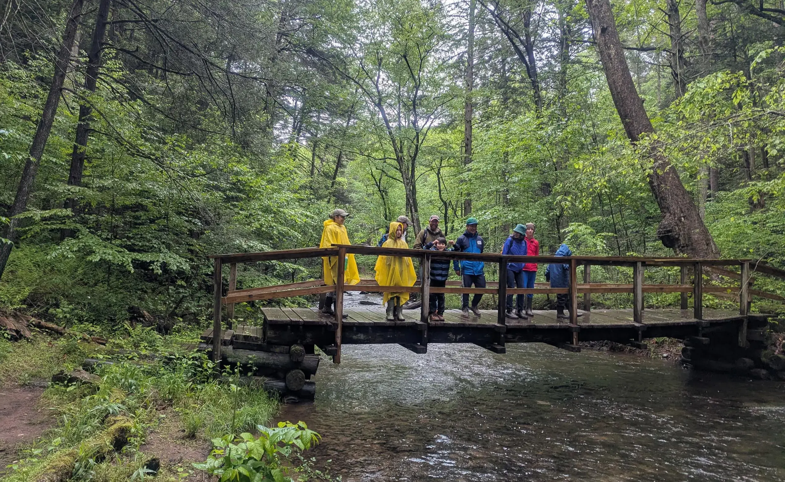 Students standing on bridge in rain