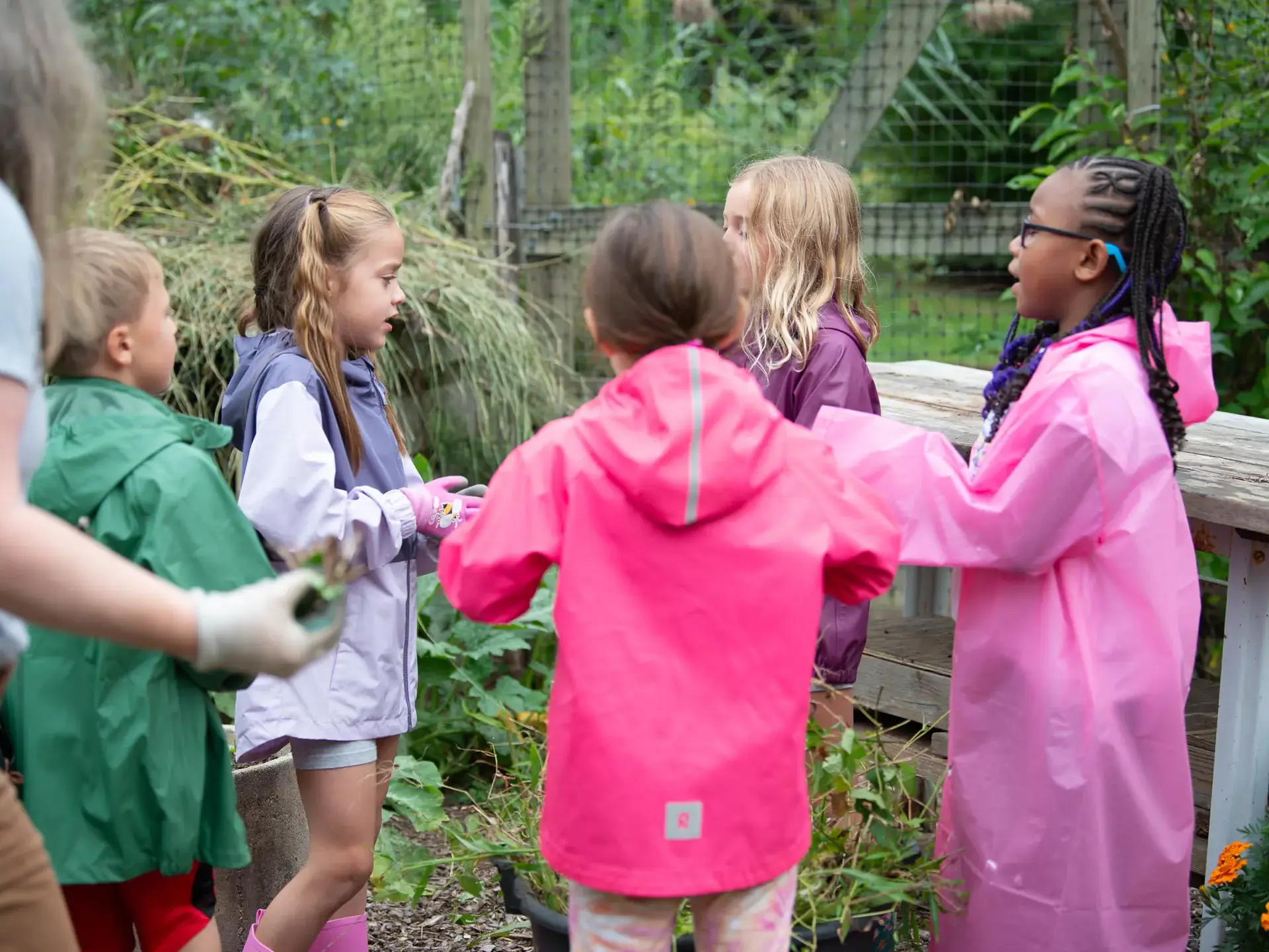 Group of children in raincoats