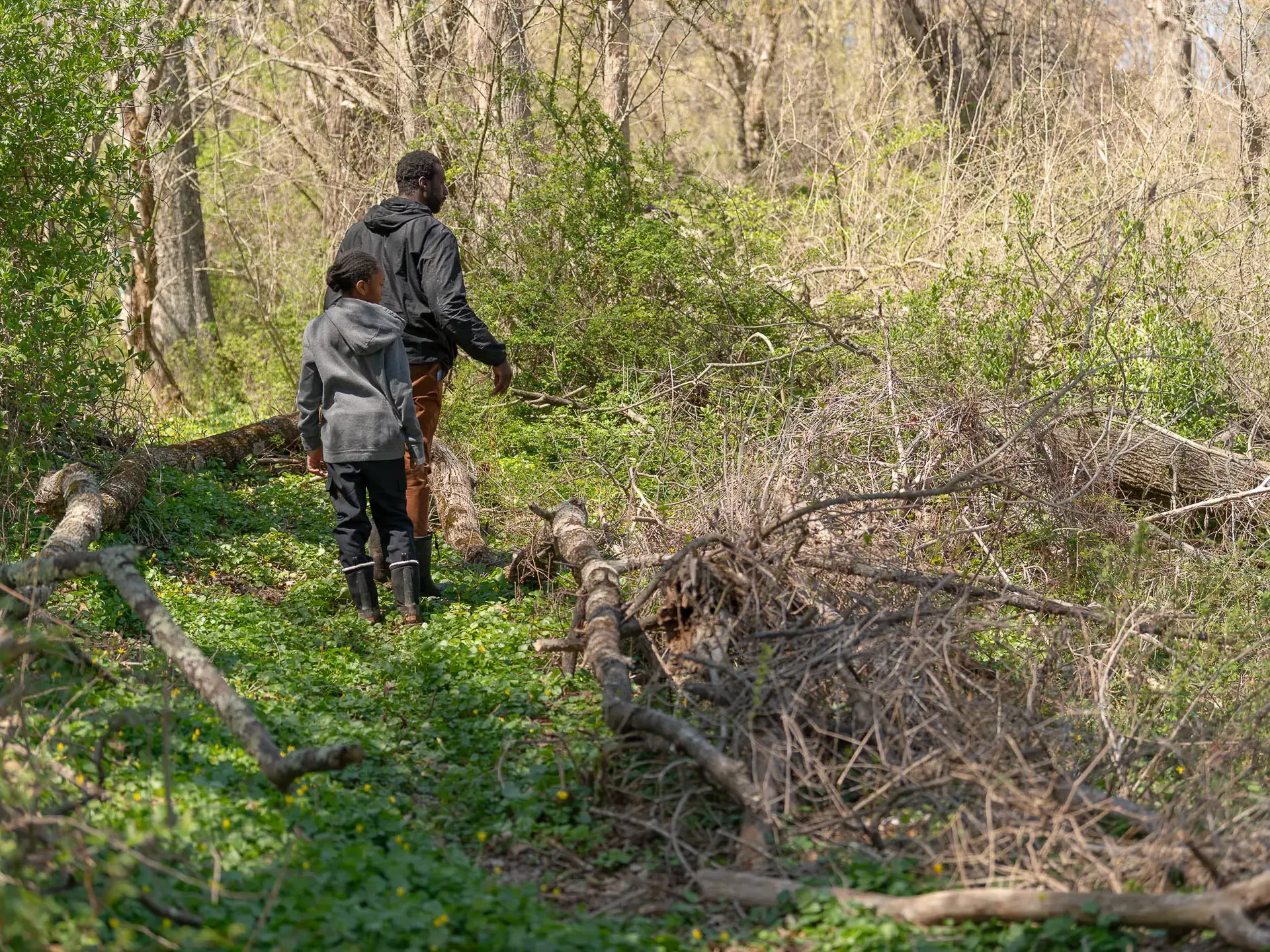 Students walking through wooded area