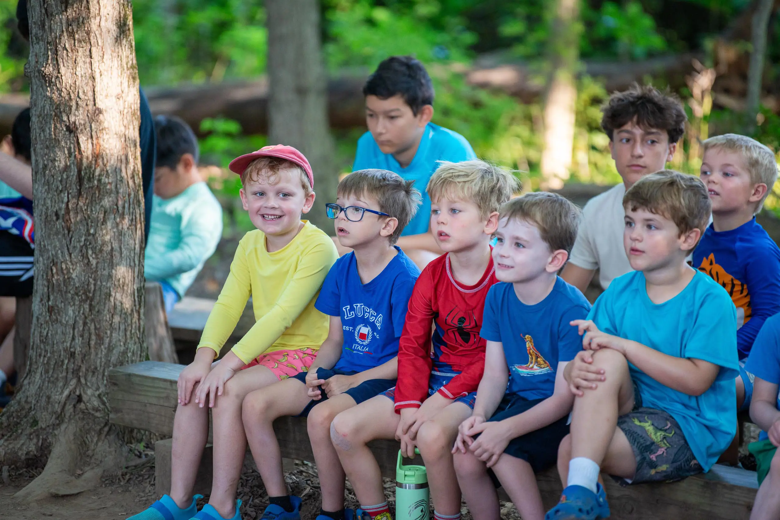  OptimizedImage,,,Optimized