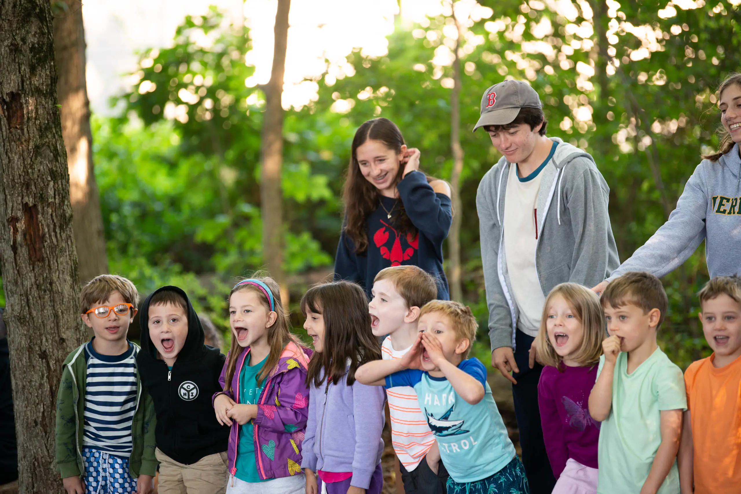  OptimizedImage,,,Optimized